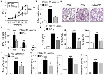 Staphylococcus succinus 14BME20 Prevents Allergic Airway Inflammation by Induction of Regulatory T Cells via Interleukin-10